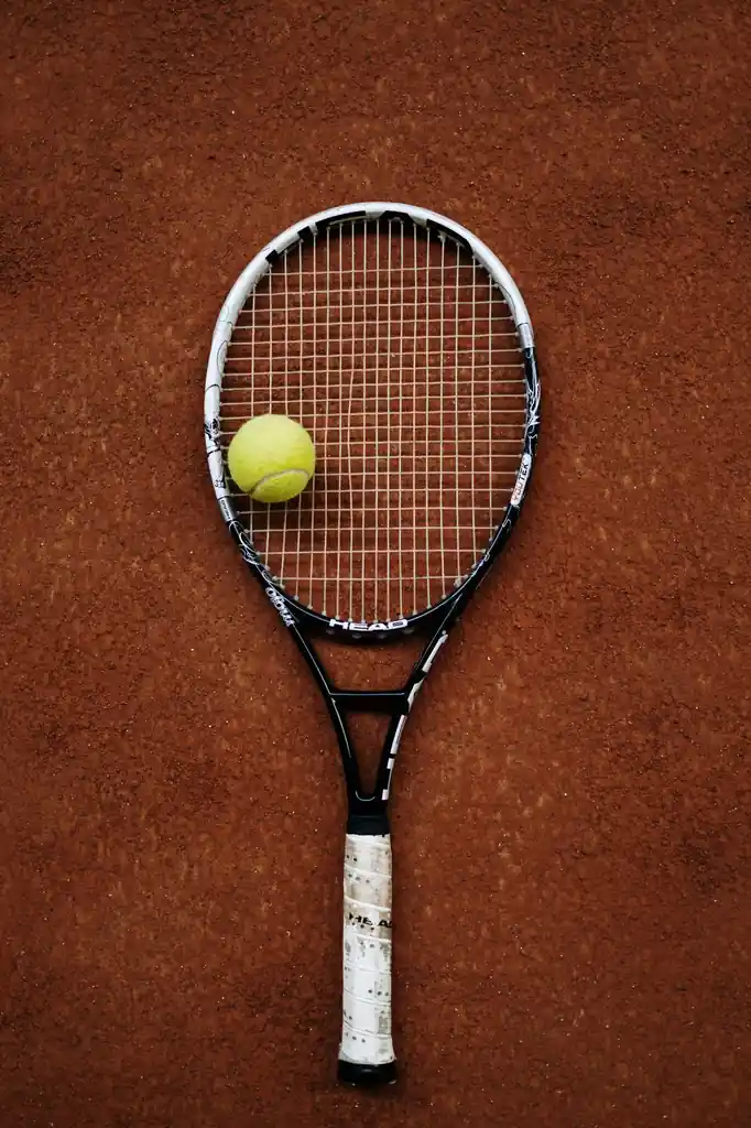 Tennis racket and fresh tennis ball resting on outdoor court